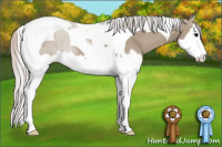 Horse Color:Silver Brown Dun Sabino Splash Tobiano 