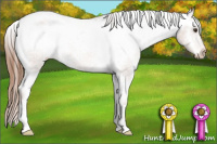 Horse Color:Red Roan Varnish 