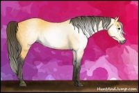 Horse Color:Gray Buckskin  Brindle