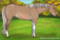 Horse Color:Silver Bay Roan Dun Tobiano 