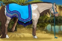 Horse Color:Liver Red Dun Snowcap 
