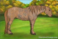 Horse Color:Grullo Blanket  Brindle