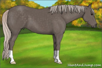Horse Color:Silver Brown 