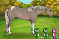 Horse Color:Silver Grullo Sabino Tobiano