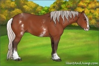 Horse Color:White Spotted Silver Bay Splash