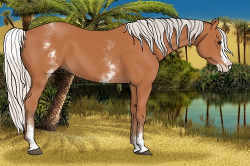 Horse Color: White Spotted Silver Bay Splash 