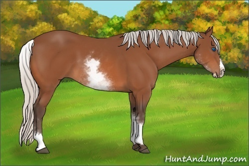 Horse Color:White Spotted Silver Bay Splash