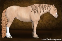 Horse Color:Gold Champagne  Brindle