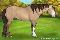 Horse Color:Gray Amber Champagne Dun Brindle