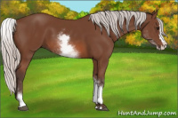 Horse Color:White Spotted Silver Bay Splash