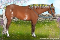 Horse Color:White Spotted Silver Bay Splash 