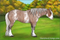 Horse Color:White Spotted Silver Bay Roan Splash 