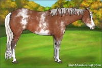 Horse Color:White Spotted Silver Bay Splash 