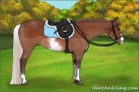 Horse Color:White Spotted Silver Bay Splash