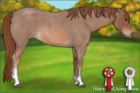 Horse Color:Red Roan Tobiano 