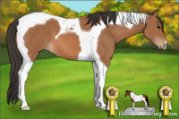 Horse Color:Bay Tobiano 