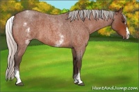 Horse Color:White Spotted Silver Bay Roan Splash 