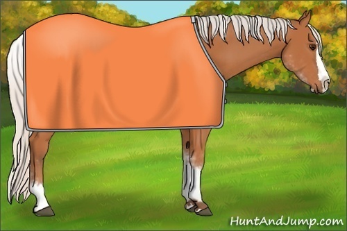 Horse Color:White Spotted Silver Bay Splash