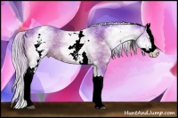 Horse Color:Watercolor White Spotted Silver Bay Splash 