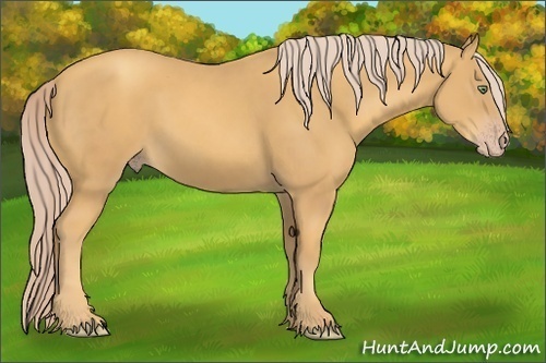 Horse Color: Gold Cream Champagne 