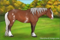 Horse Color:White Spotted Silver Bay Splash 