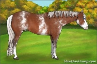 Horse Color:White Spotted Silver Bay Splash 
