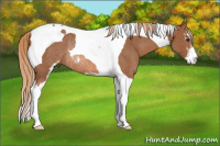 Horse Color:Chestnut Sabino Tobiano Rabicano