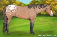 Horse Color:Bay Splash Blanket 