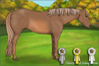 Horse Color:Chestnut Rabicano