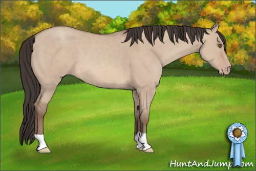 Horse Color: Classic Champagne Dun 