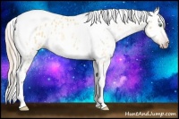 Horse Color:Gray Silver Amber Cream Champagne Roan Dun Splash Tobiano Frame Appaloosa Rabicano