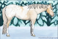 Horse Color:Gray Silver Amber Cream Champagne Roan Dun Splash Tobiano Frame Appaloosa Rabicano
