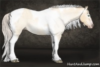 Horse Color:Gray Silver Amber Cream Champagne Roan Dun Splash Tobiano Frame Varnish Rabicano 