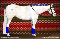Horse Color:Gray Silver Amber Cream Champagne Roan Dun Splash Tobiano Frame Appaloosa Rabicano 