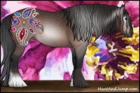 Horse Color:Gray Bay Roan 