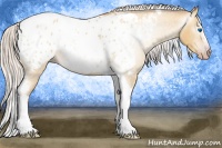 Horse Color:Gray Silver Amber Cream Champagne Roan Dun Splash Tobiano Frame Appaloosa Rabicano 