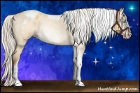 Horse Color:Gray Silver Amber Cream Champagne Roan Dun Splash Tobiano Frame Appaloosa Rabicano 