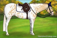 Horse Color:Gray Silver Amber Cream Champagne Roan Dun Splash Tobiano Frame Near Leopard Rabicano 