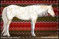 Horse Color:Gray Silver Amber Cream Champagne Roan Dun Splash Tobiano Frame Blanket Rabicano 