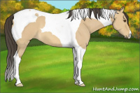 Horse Color:Buckskin Dun Tobiano