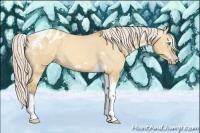 Horse Color:Gray Silver Amber Cream Champagne Roan Dun Splash Tobiano Frame Appaloosa Rabicano 