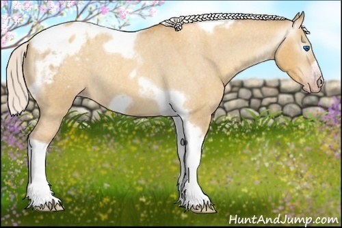 Horse Color:Gray Silver Amber Cream Champagne Roan Dun Splash Tobiano Frame Appaloosa Rabicano 