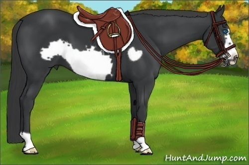 Horse Color:Black Frame 