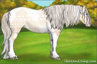 Horse Color:Gray Silver Amber Cream Champagne Roan Dun Splash Tobiano Frame Varnish Rabicano 