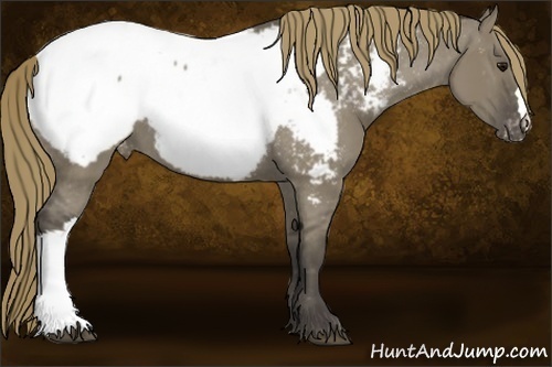 Horse Color:Smoky Grullo Snowcap 