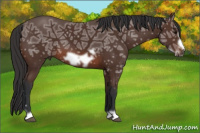 Horse Color:Brown Ice Frame 