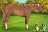 Horse Color:Chestnut Tobiano