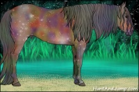 Horse Color:Nacre Bay Sabino Rabicano 