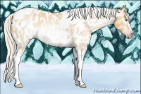 Horse Color:Gray Silver Amber Cream Champagne Roan Dun Splash Tobiano Frame Appaloosa Rabicano