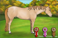 Horse Color:Chestnut Pearl